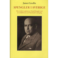 James Cavallie Spengler i Sverige : den svenska receptionen av Oswald Spenglers teser om världshistorien och Västerlandets undergång (i...