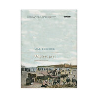 Max Blecher Upplyst gryt : sanatoriedagbok (bok, danskt band)