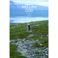 Erik Lindfelt Mellan Gud : vandring i andliga landskap (inbunden)