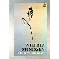 Wilfrid Stinissen Hör du vinden blåsa? : En bok om den helige Ande (inbunden)