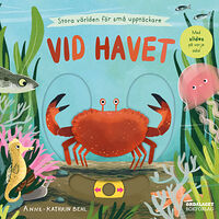 Anne-Kathrin Behl Vid havet (bok, board book)