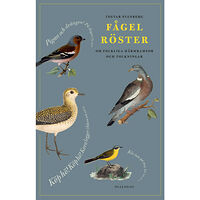 Ingvar Svanberg Fågelröster : om folkliga härmramsor och tolkningar (inbunden)