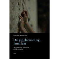 Sofie Hamring Om jag glömmer dig, Jerusalem : möten mellan judendom (häftad)