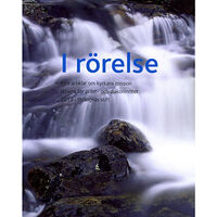 Jan Eckerdal I rörelse : fyra artiklar om kyrkans mission skrivna för präst- och diakonmötet 2013 i Strängnäs stift (häftad)