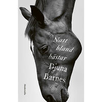 Djuna Barnes Natt bland hästar (inbunden)