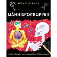 Barthelson Förlag Skrapa, upptäck & förstå. Människokroppen (bok, board book)