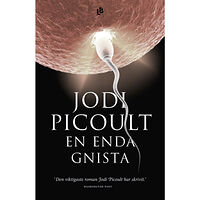 Jodi Picoult En enda gnista (inbunden)