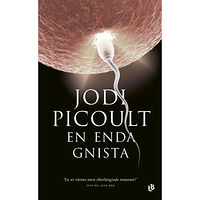 Jodi Picoult En enda gnista (pocket)