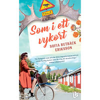 Sofia Rutbäck Eriksson Som i ett vykort (pocket)