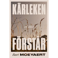 Bart Moeyaert Kärleken vi inte förstår (inbunden)