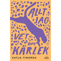 Katja Timgren Allt jag vet om kärlek (bok, flexband)