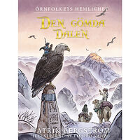 Lilla Piratförlaget Den gömda dalen (inbunden)
