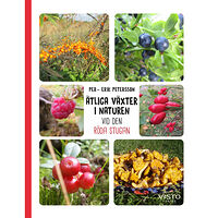 Per-Erik Petersson Ätliga växter i naturen vid den röda stugan (inbunden)