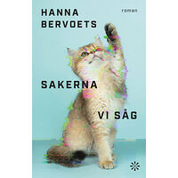 Hanna Bervoets Sakerna vi såg (inbunden)