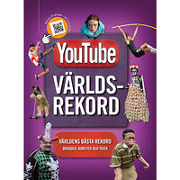 Adrian Besley Youtube världsrekord (bok, kartonnage)