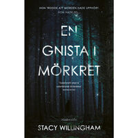 Stacy Willingham En gnista i mörkret (inbunden)