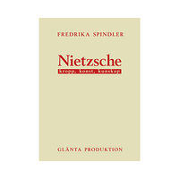 Fredrika Spindler Nietzsche : kropp, konst, kunskap (häftad)