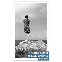 Gaëlle Josse En oändlig väntan (bok, danskt band)