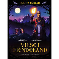 Mikael Salmson Vilse i fiendeland (inbunden)