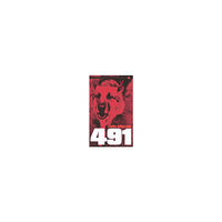 Lars Görling 491 : roman (pocket)