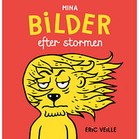 Éric Veillé Mina bilder efter stormen (inbunden)