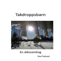 Siw Fladvad Takdroppsbarn (häftad)