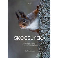 Rolf Segerstedt Skogslycka : tips för möten i skogens gläntor (inbunden)
