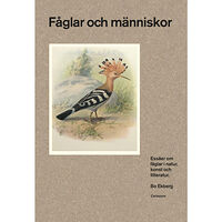 Bo Ekberg Fåglar och människor : essäer om fåglar i natur, konst och litteratur (inbunden)