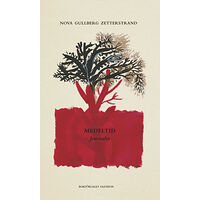 Nova Gullberg Zetterstrand Medeltid. Journaler (bok, danskt band)