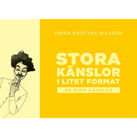 Frida Kristina Nilsson Stora känslor i litet format : äg dina känlsor (gul) (häftad)