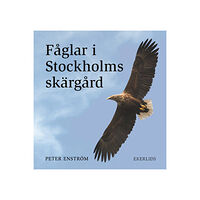 Peter Enström Fåglar i Stockholms skärgård (inbunden)