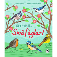 Ulrika Hjorth Säg hej till... småfåglar! (inbunden)