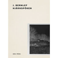 J. Bernlef Hjärnspöken (bok, danskt band)