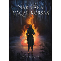 Emilia Lec-Alsén När våra vägar korsas (bok, kartonnage)