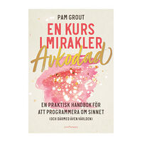 Pam Grout En kurs i mirakler : avkodad - en praktiskt handbok för att programmera om sinnet (och därmed även världen) (häftad)