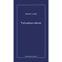Friedo Lampe Vid nattens inbrott (inbunden)