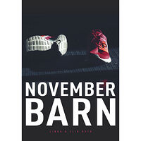 Linda Roth Novemberbarn (bok, storpocket)