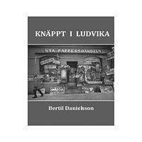 Bertil Danielsson Knäppt i Ludvika (inbunden)