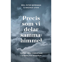 Strängnäs bibliotek Precis som vi delar samma himmel. Texter från författare i Strängnäs kommun (bok, danskt band)