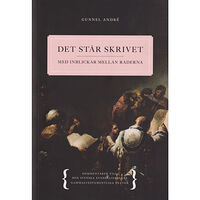 Gunnel André Det står skrivet : med inblickar mellan raderna - Kommentarer till den svenska evangeliebokens gammaltestamentliga texte...