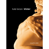 Kate Larson Klister (bok, danskt band)