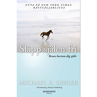 Michael A. Singer Släpp själen fri : resan bortom dig själv (bok, danskt band)