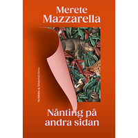 Merete Mazzarella Nånting på andra sidan (inbunden)