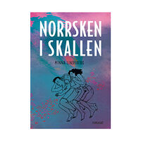 Minna Lindeberg Norrsken i skallen (bok, kartonnage)