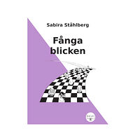 Sabira Ståhlberg Fånga blicken (häftad)