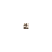 Franz Kafka Som att gräva skyddsrum med naglarna i ett världskrig : brev 1921 - juli 1922 (inbunden)
