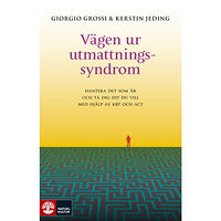 Giorgio Grossi Vägen ur utmattningssyndrom : hantera det som är och ta dig dit du vill med (inbunden)