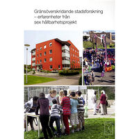 Formas Gränsöverskridande stadsforskning : erfarenheter från sex hållbarhetsprojekt (pocket)