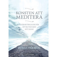 Pema Chödrön Konsten att meditera : En praktisk guide för att bli vän med sitt sinne (bok, kartonnage)