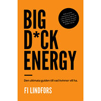 Fi Lindfors Big dick energy : den ultimata guiden till vad kvinnor vill ha (inbunden)